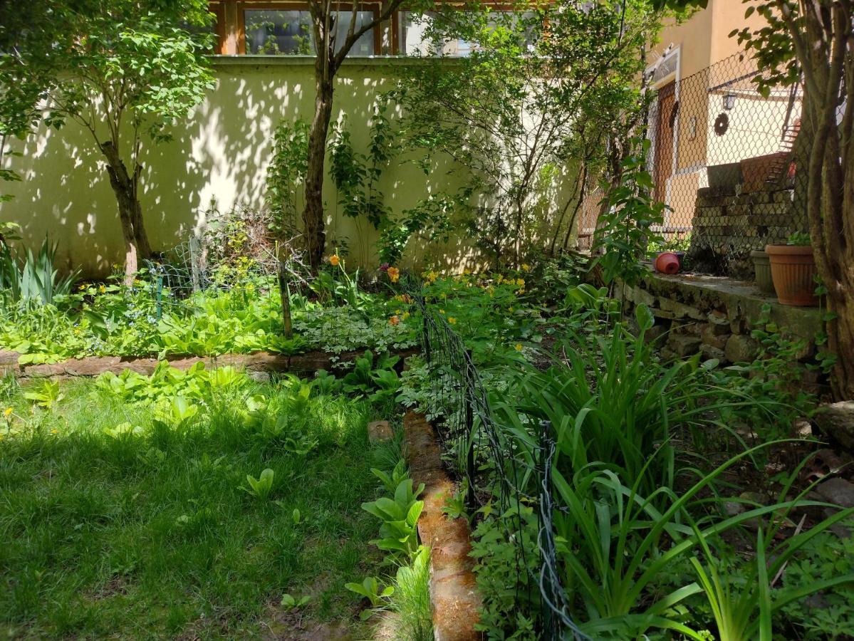 Charming Central Home With Garden Near Parking And Ndk Sofia Exteriör bild